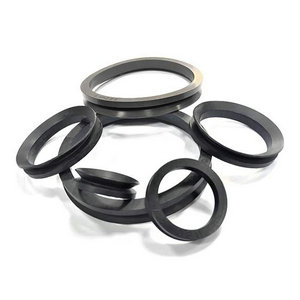 Flexible Graphite Gasket